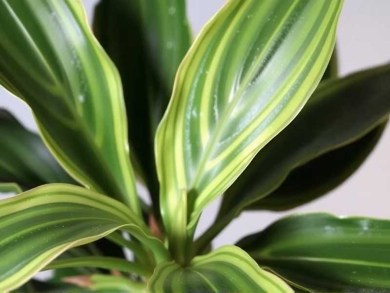 How to Fix Aglaonema Brown Stems Fast(1) How to Fix Aglaonema Brown Stems Fast(1)